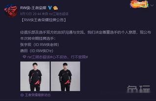 牛人粉丝爆料视频,揭秘幕后精彩瞬间  第3张