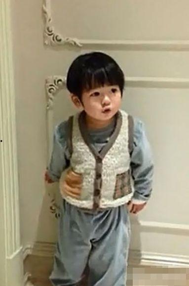 张庭被儿子爆料视频大全,视频大全揭露家庭内幕  第2张