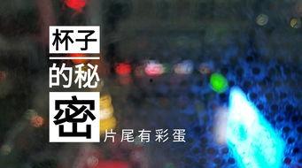 夜间酒店爆料案例视频,一窥酒店行业不为人知的一面  第1张