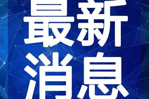 最新乐高爆料新闻报道视频  第1张
