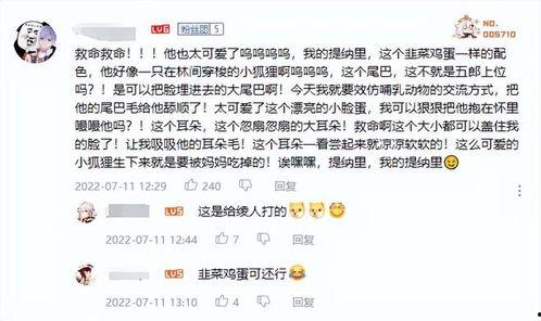 草神外网爆料视频大全,揭秘剧情与角色背后的秘密 第2张 草神外网爆料视频大全,揭秘剧情与角色背后的秘密 第2张