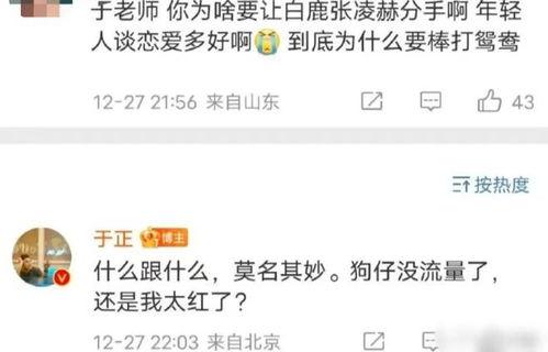 最新爆料白鹿元月行程,跨足多领域，精彩不断  第1张