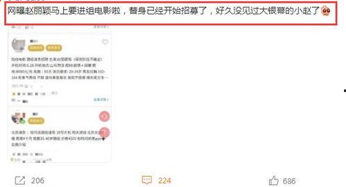 最新爆料白鹿元月行程,跨足多领域，精彩不断  第3张