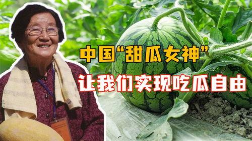 我是吃瓜人全集免费观看,揭秘娱乐圈幕后风云,免费观看全集大揭秘 第1张 我是吃瓜人全集免费观看,揭秘娱乐圈幕后风云,免费观看全集大揭秘 第1张
