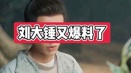 刘大锤最新爆料女方姓郑,揭秘娱乐圈新恋情 第3张 刘大锤最新爆料女方姓郑,揭秘娱乐圈新恋情 第3张