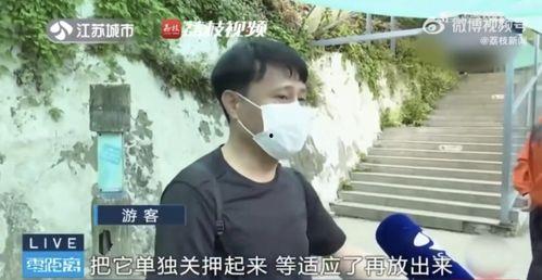 网红霸凌吃瓜男是谁,吃瓜群众背后的真相