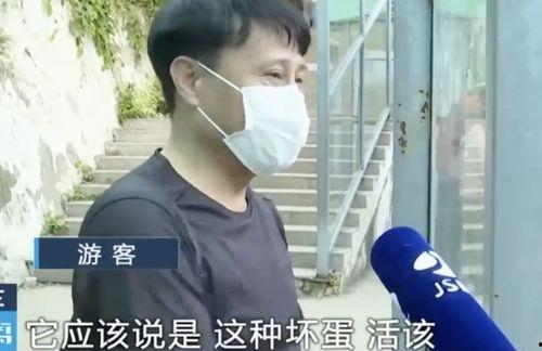 网红霸凌吃瓜男是谁,吃瓜群众背后的真相 第3张 网红霸凌吃瓜男是谁,吃瓜群众背后的真相 第3张