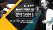 健身训练营爆料视频播放,揭秘爆火视频背后的训练秘籍